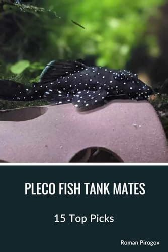 Red Eared Slider Tank Setup - Complete Guide For Optimal Care ...