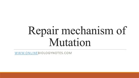 Repair Mechanism of Mutation - Online Biology Notes