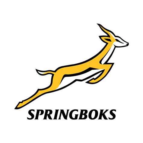 RWC 2023: Springboks Retain World Title in France - Super Rugby Pacific