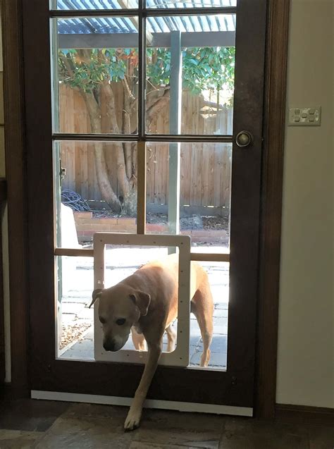 Storm Door With Dog Door For Large Dog - Storm Doors