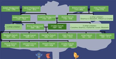 Charles Darwin And The Tree Of Life Worksheet