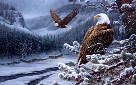 Bald Eagle Wallpapers - Wallpaper Cave