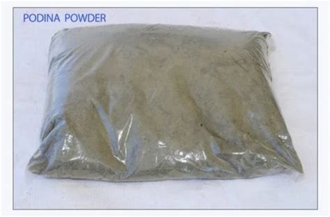 Mint Podina Powder, Packaging Size: 1 Kg at Rs 275/kg in Sojat | ID ...