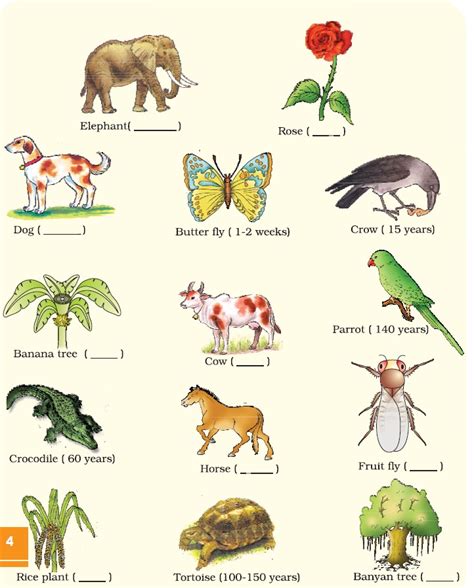 NCERT Class XII Biology Chapter 1 : Reproduction in Organisms