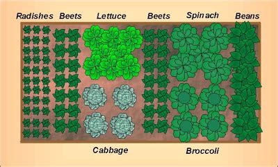 Fall Vegetable Garden Layout for a 4'x8' Raised Bed - Growing The Home ...