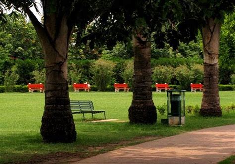 The 13 Most Beautiful Gardens In Chandigarh