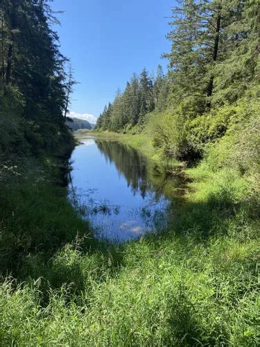 10 Best Hikes and Trails in Oregon Dunes National Recreation Area ...