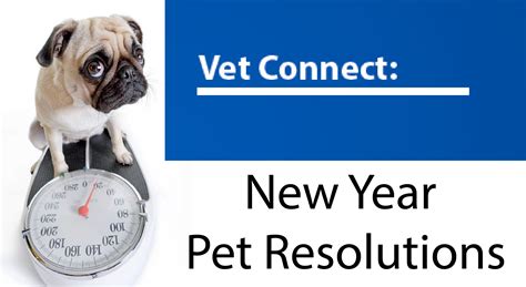 Vet Connect: New Year Pet Resolutions | Postcards Magazine