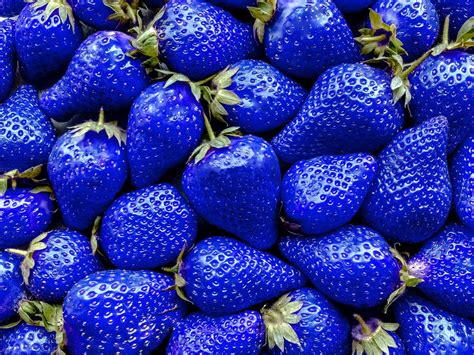 800+ Mix Strawberry Seeds for Planting - Heirloom Non-GMO Red Yellow ...