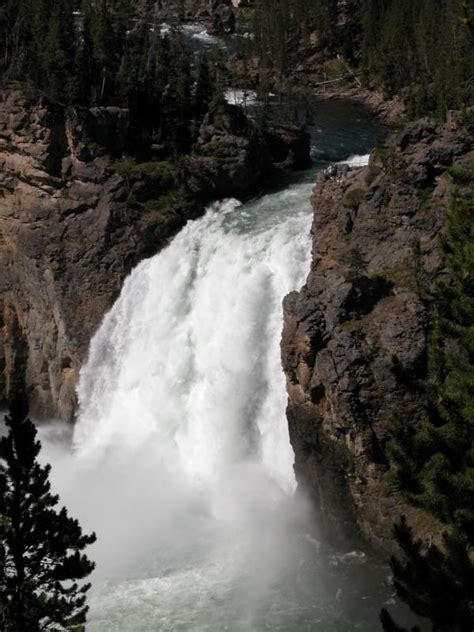 Upper Yellowstone Falls