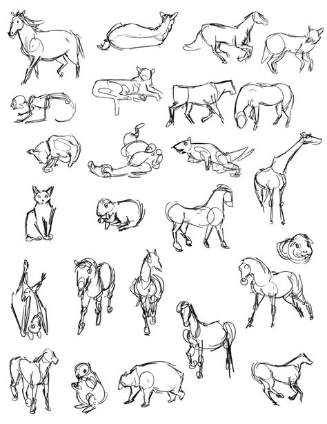 Easy Gesture Drawing Animals