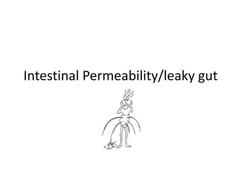 Intestinal permeability ppp i | PPT