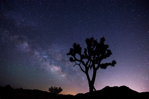 Joshua Tree Night Sky Festival 2024 - Berte Melonie