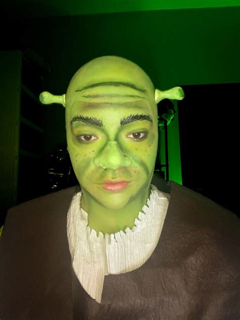 Shrek Inspired Makeup Look | Shrek, Makeup looks, Makeup