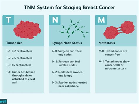 Brain Tumor Size Chart Cm - Best Picture Of Chart Anyimage.Org