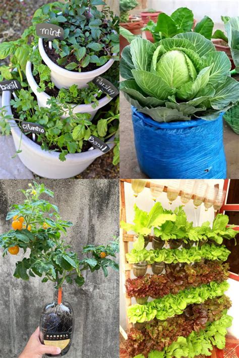 35 Creative Container Vegetable Garden Ideas - A Piece Of Rainbow