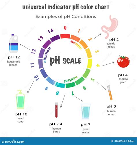 Ph Scale Examples