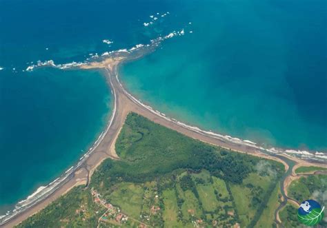 Uvita Costa Rica - Beach, whales, and an iconic music festival