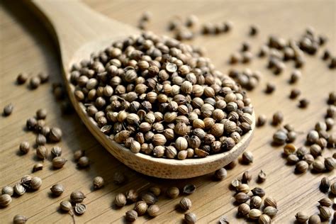 European Brown Coriander Seed - Anthony The Spice Maker