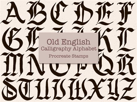 Procreate Stamps Old English Calligraphy Letters, Antique Calligraphy ...