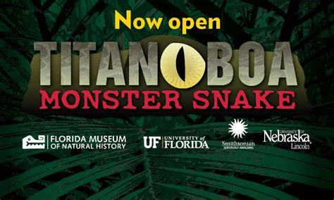 Titanoboa : great documentary (With images) | History events, Florida ...