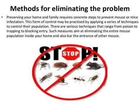 The Most Effective Methods For Dealing With Mice in 2014