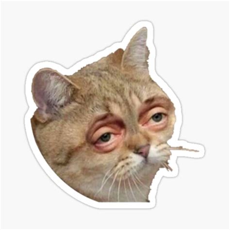 "Tired cat meme" Sticker for Sale by SkortStickers | Redbubble