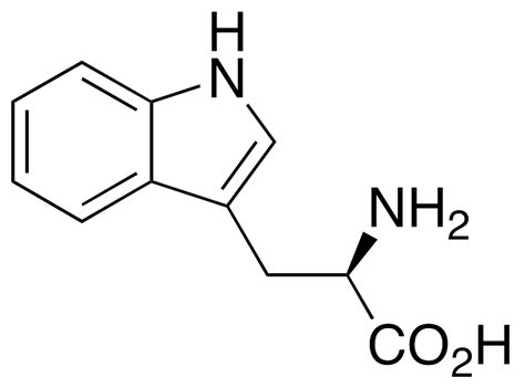 Tryptophan Amino Acid