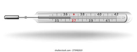 Labelled Mercury Laboratory Thermometer