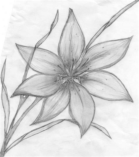 Flower Shading Drawing at PaintingValley.com | Explore collection of ...