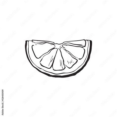 Hand drawn slice of lemon, sketch style vector illustration isolated on ...