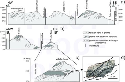 Simplified cross sections through the sampled area along the A-A# (a ...