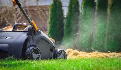 How To Aerate A Lawn | Lawn.com.au