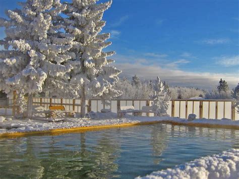 Yukon Wildlife Preserve & Eclipse Nordic Hot Springs - EPIC NORTH Tour ...