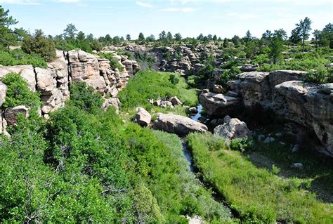 Explore Hiking Trails Near Castle Rock Colorado