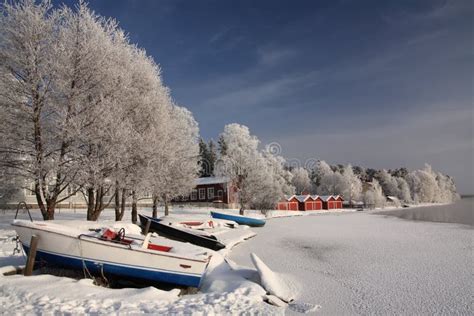 Cold park stock photo. Image of park, winter, snow, cold - 142997228