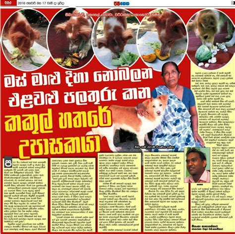 එළවලු කන බල්ලා - a Vegetarian Dog in Sri Lankan | Sri Lanka Newspaper ...