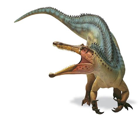 Suchomimus | The Isle Wiki | FANDOM powered by Wikia