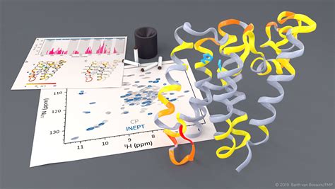 Dynamic images show rhomboid protease in action