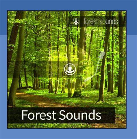 Forest Sounds: Amazon.co.uk: CDs & Vinyl