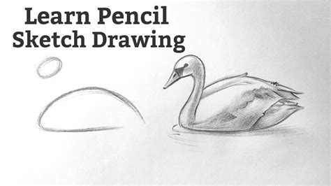 Pencil Drawing Lessons Beginners | Images and Photos finder