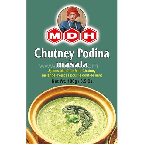 Mdh Chutney Podina 100g–Kugans.com