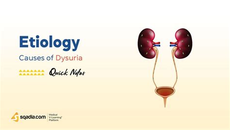 Causes of Dysuria - Etiology