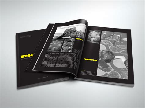 Portfolio Book Presenter – StockInDesign