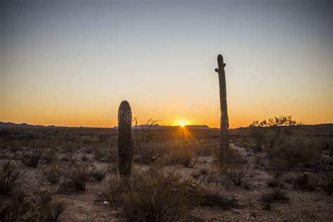 Desert Sunset with Saguaro Cactus Stock Image - Image of phoenix, plant ...