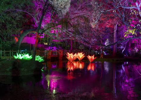 Japanese Gardens of the Fort Worth Botanic Gardens Illuminated by ...