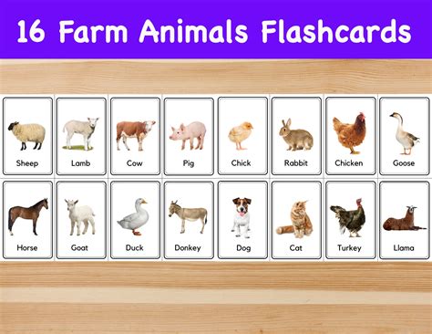 16 Farm Animals Flashcards / Image Cards for Kids, Preschoolers ...