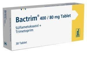 Can Dogs Take Bactrim? | A Safe Antibiotic? [Best Advice]