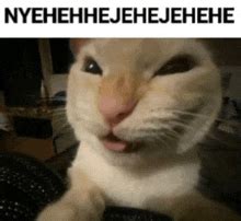 Evil Cat Laugh GIFs | Tenor