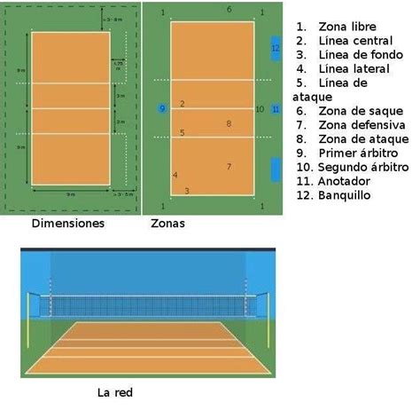 Voleibol El Campo De Juego Voleibol Voleyball Y Juegos